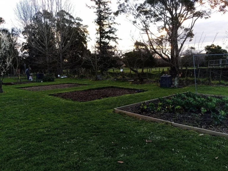 Community garden plots: a community garden at dusk with several rented plots, a raised bed of greens and a compost bin