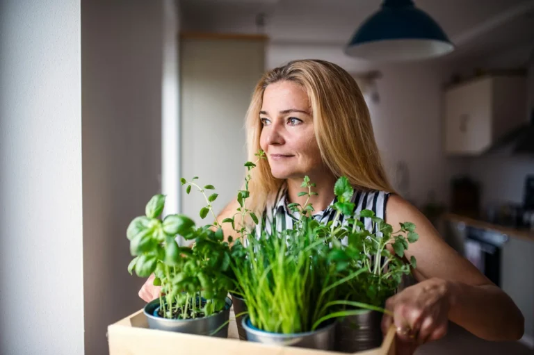 Growing microgreens at home: a woman holding a tray of potted herbs and greens in a kitchen