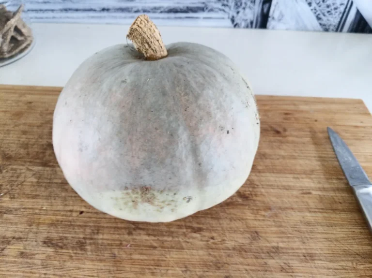 Whole blue-gray pumpkin on a cutting board, ready for making pumpkin puree from a whole pumpkin