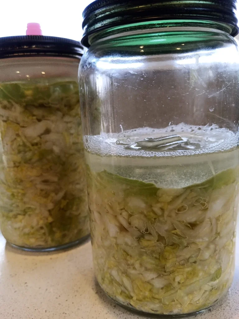 Is fermented food safe to eat: sauerkraut fermenting in glass jars, with brine and bubbles at the top